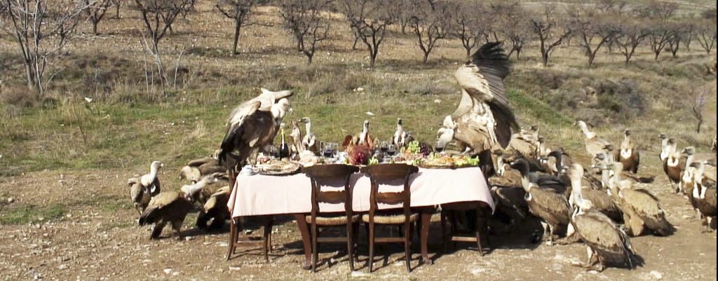 IN-ICTU-OCULI-Greta-Alfaro buitres sobre una mesa